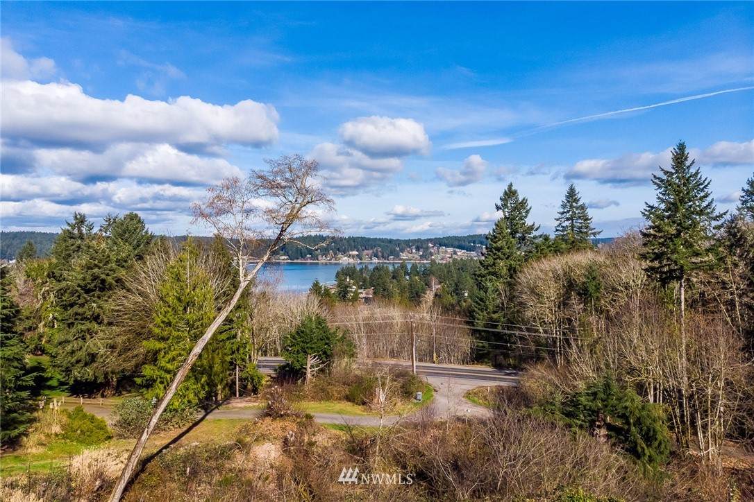 0 Eagle Ridge Lane - Photo 1