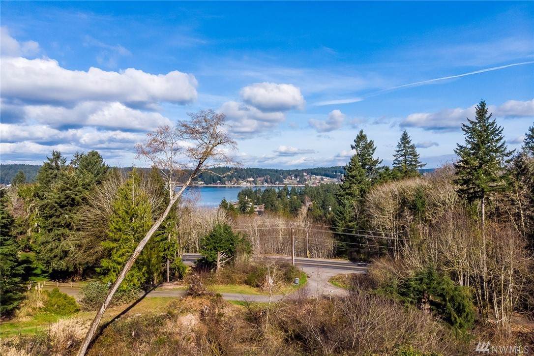 0 Eagle Ridge Lane - Photo 1