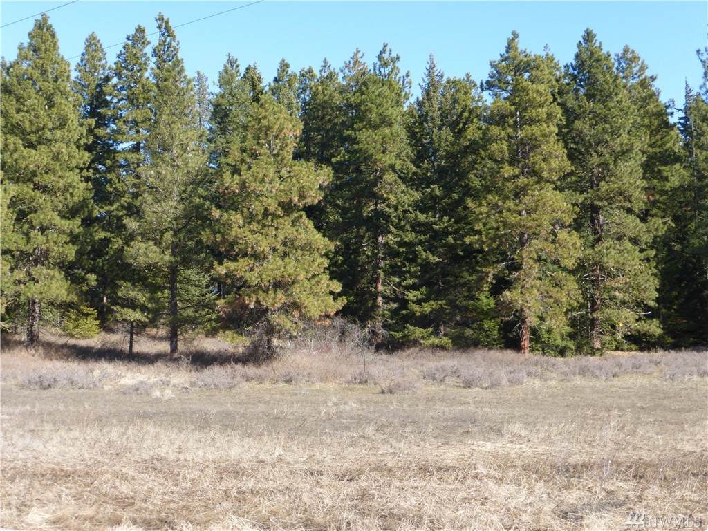 0-XXX Thorp Prairie Road Lot B - Photo 1