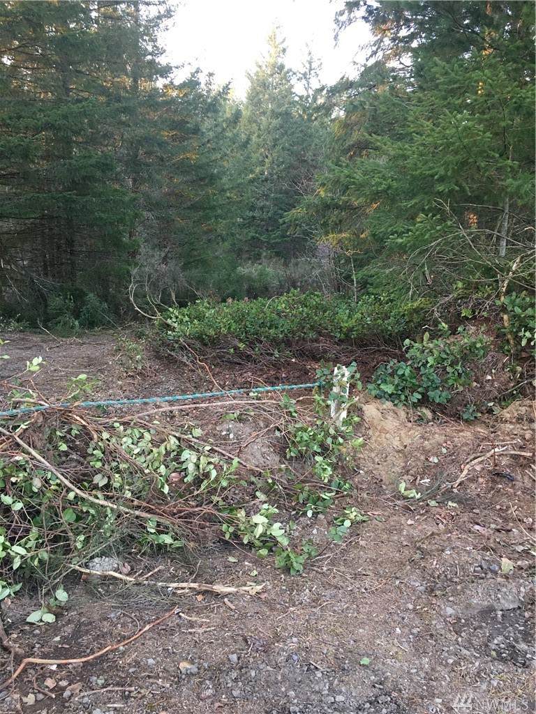 9570 W. Belfair Valley Road Rd - Photo 1