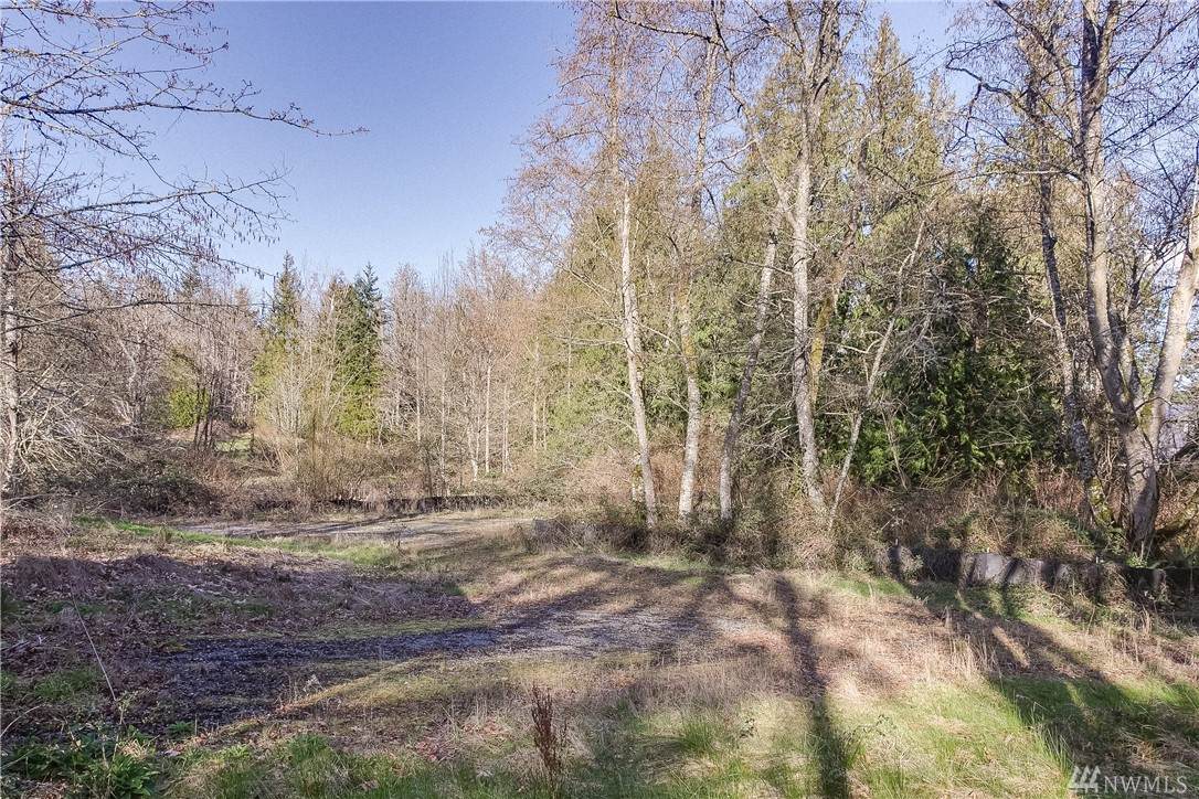 4204 Camano - Photo 1