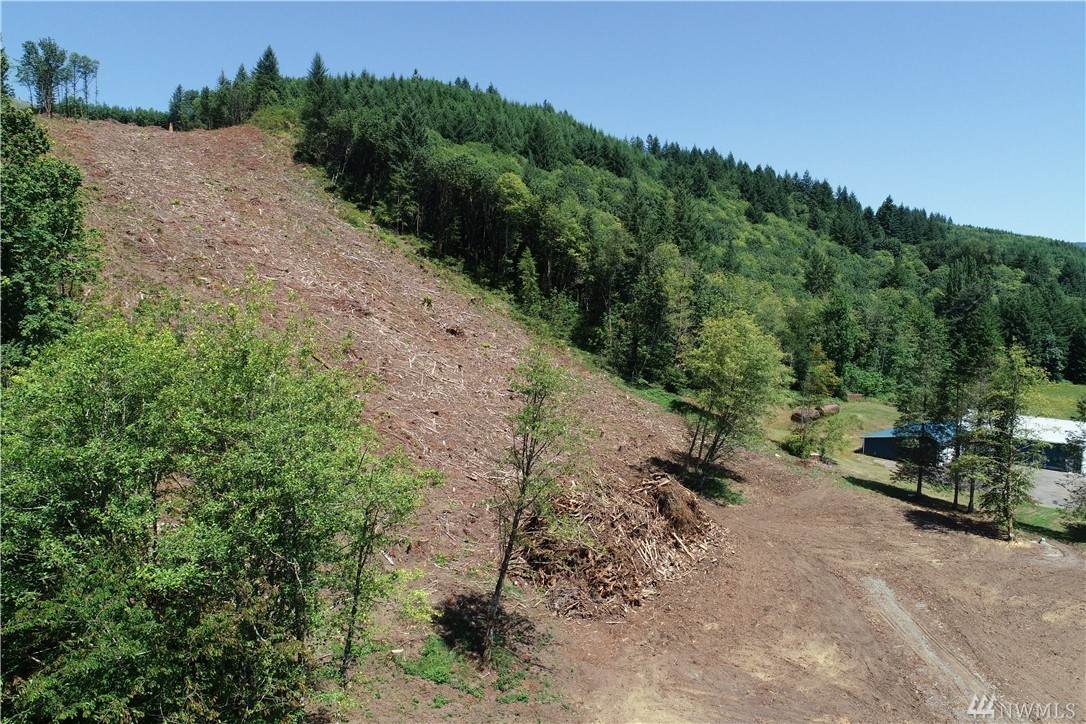 1 Lewis River Rd - Photo 1 1 Lewis River Rd - Photo 1