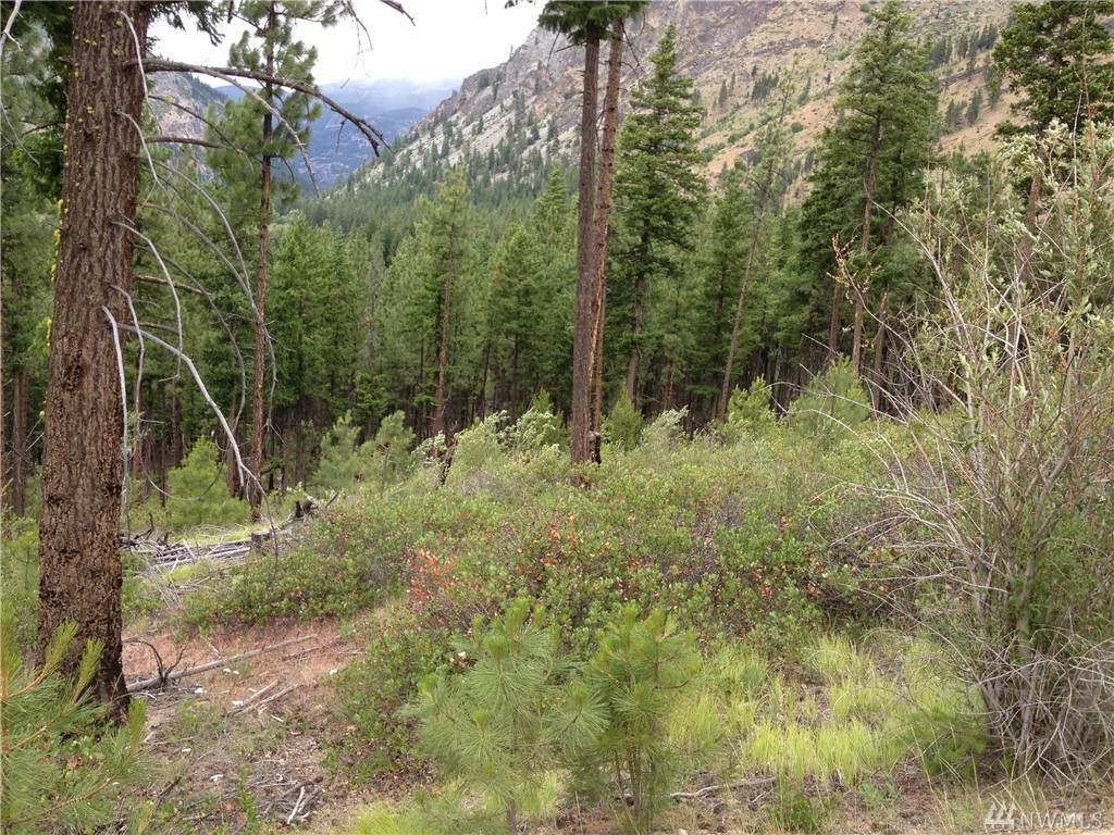 0 Tyee View Entiat River Rd - Photo 1 0 Tyee View Entiat River Rd - Photo 1