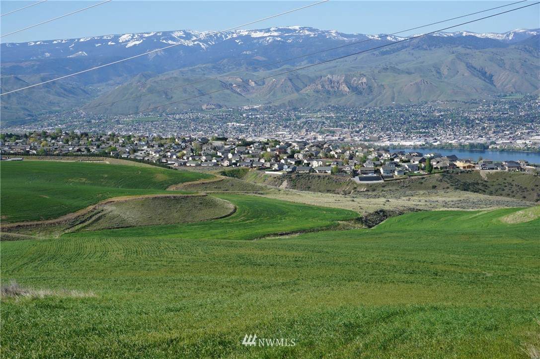 0 Cougar Ridge Road - Photo 1