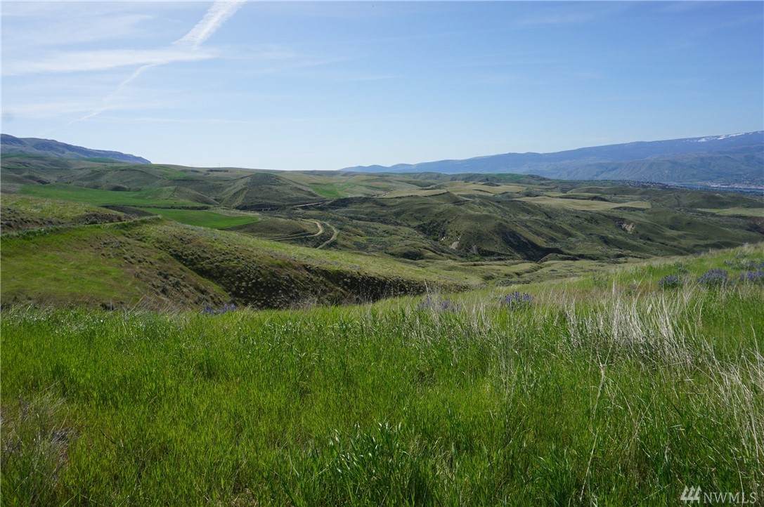 0-XX Cougar Ridge Dr - Photo 1