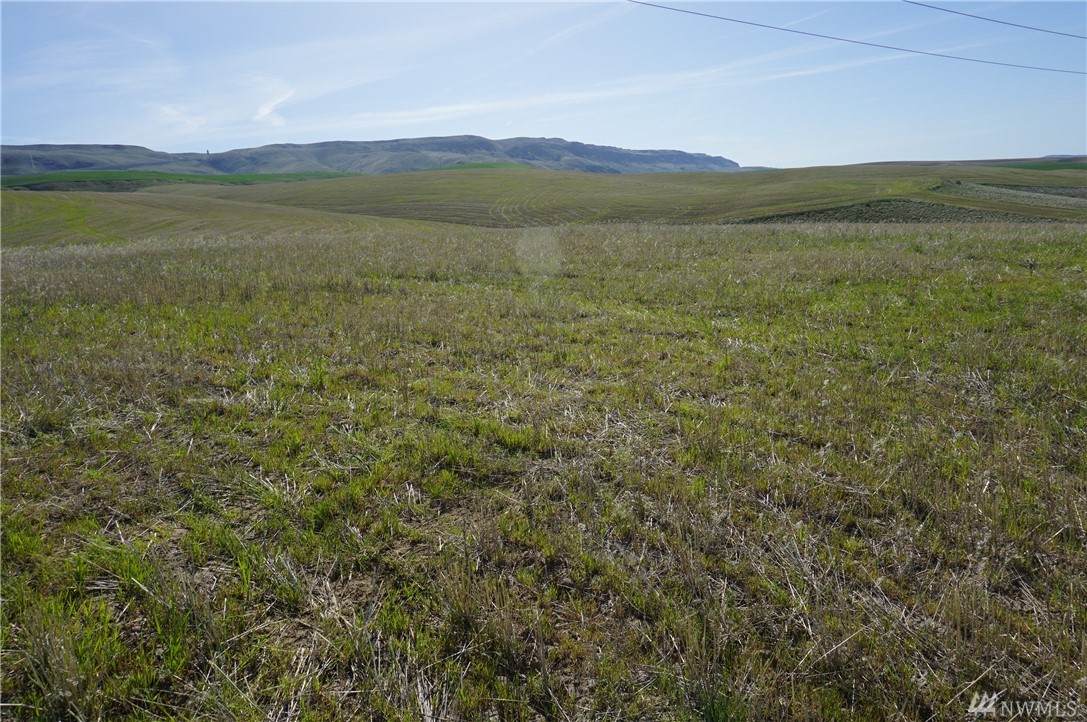 0-XXX Cougar Ridge Dr - Photo 1