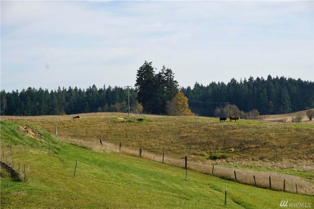 99 Deer Park Rd - Photo 1
