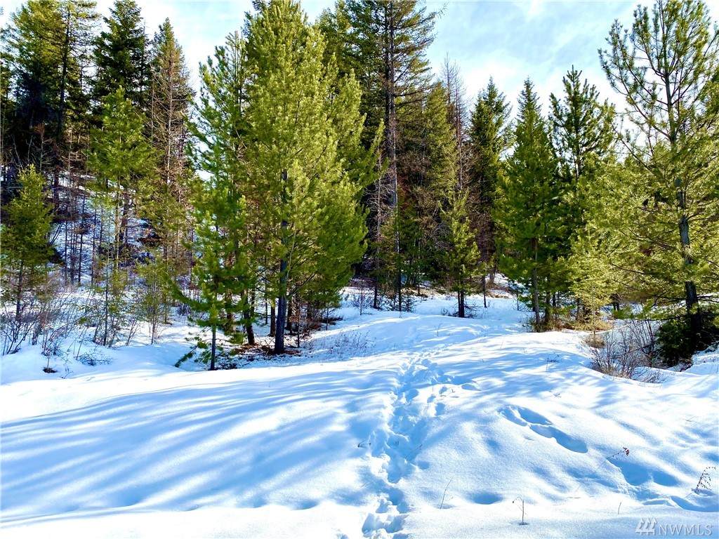 889 Old Kettle Falls Rd - Photo 1