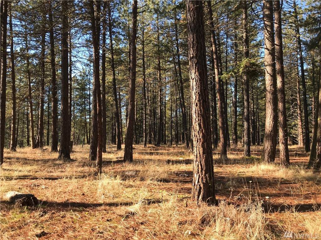 0-Lot 2 Pine Duff Dr - Photo 1