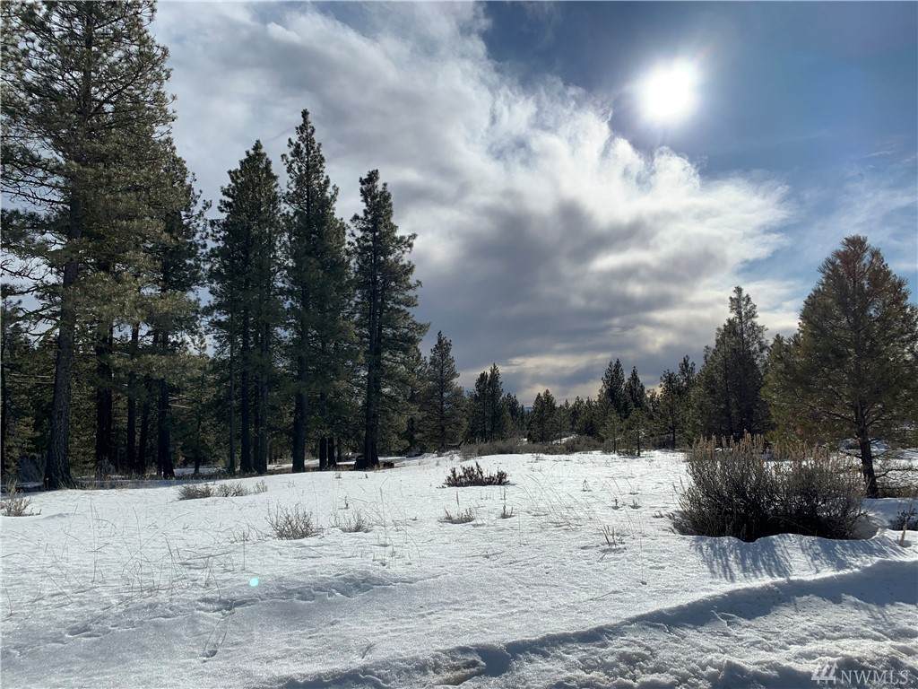 100 Chipmunk Trail Rd - Photo 1