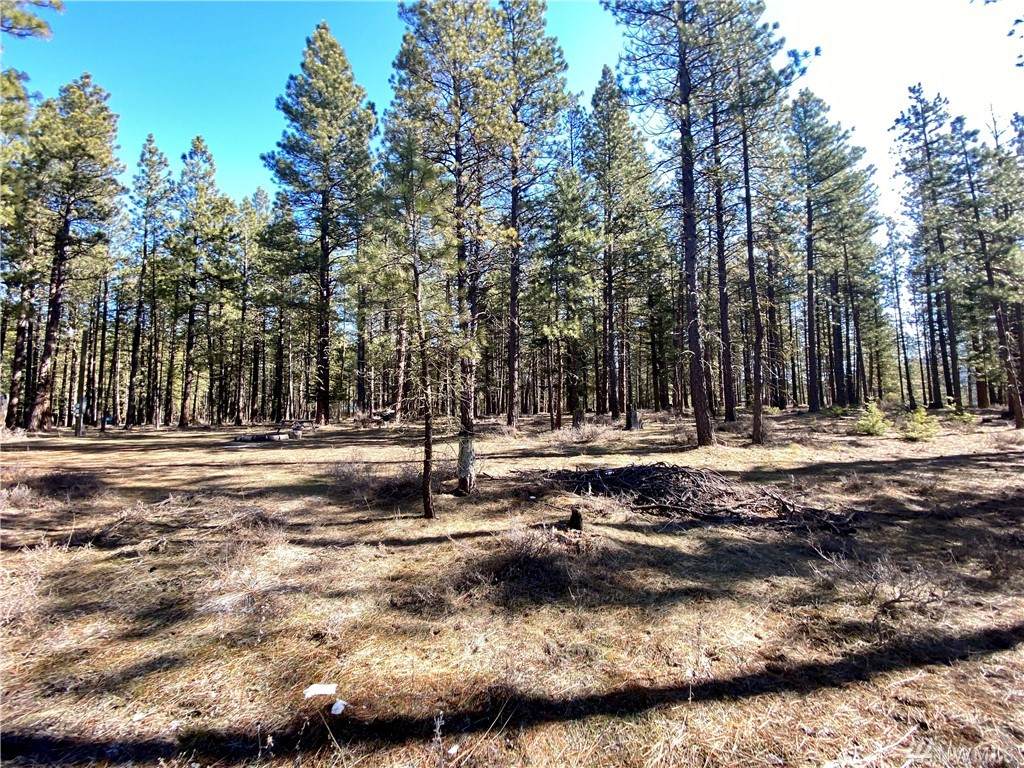 0-Lot 1 Pine Duff - Photo 1