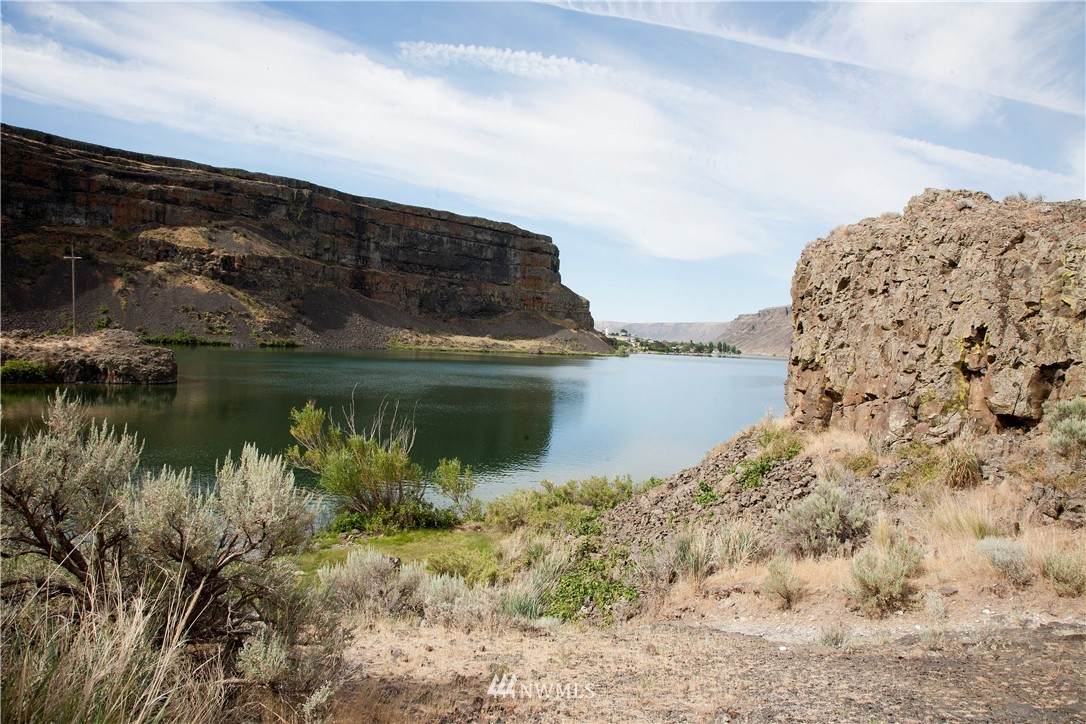 33017 Park Lake Road - Photo 1
