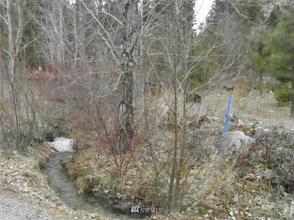 24 Parcel D Entiat River Road - Photo 1