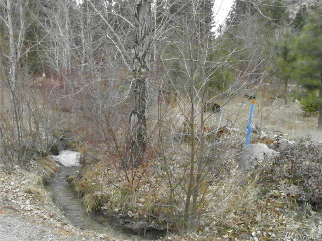 24 Parcel D Entiat River Rd - Photo 1 24 Parcel D Entiat River Rd - Photo 1