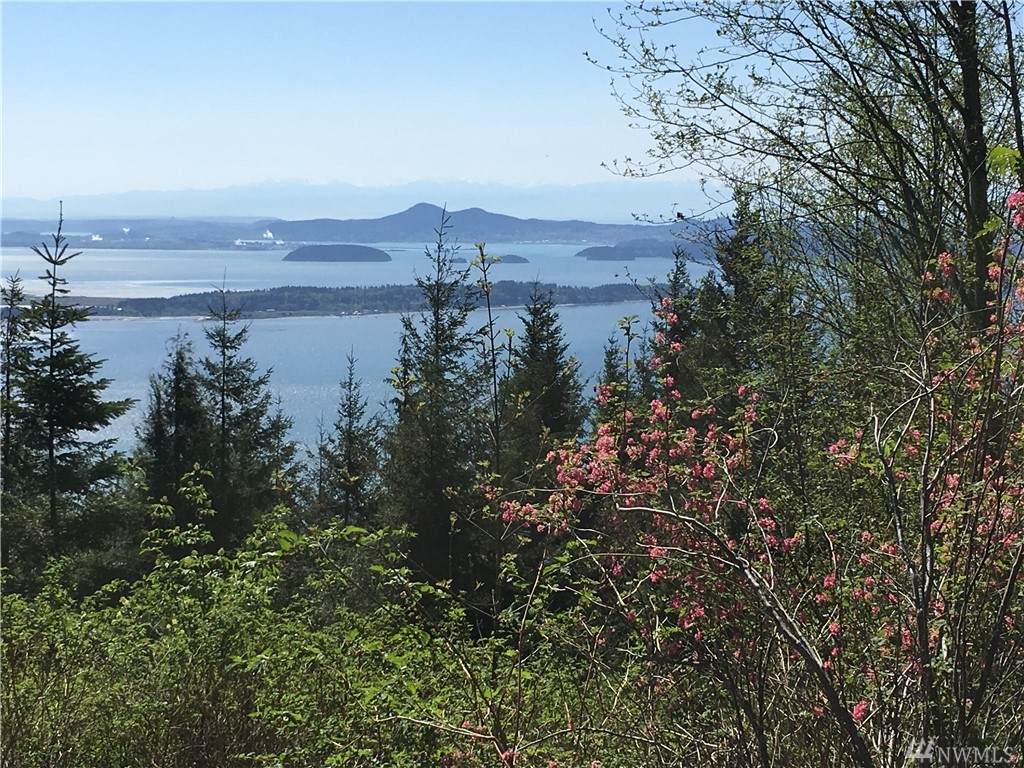 0 Chuckanut Ridge/Heavens Gate - Photo 1