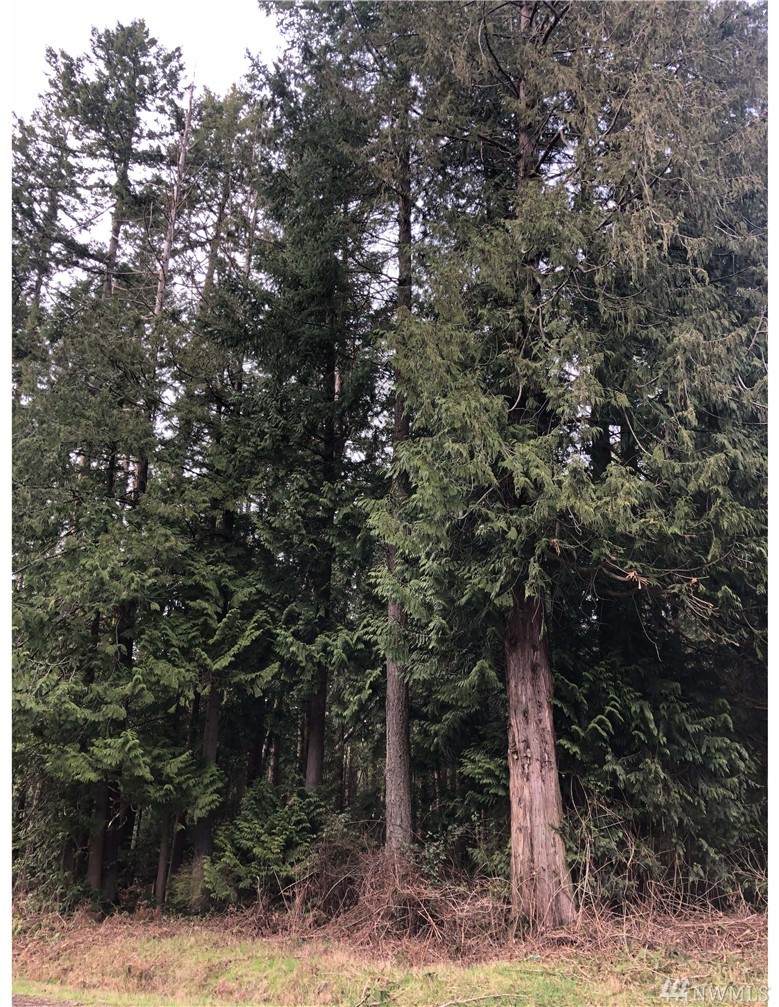 0 Johnson Rd - Photo 1