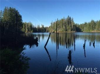 1555 Lost Highway - Photo 1