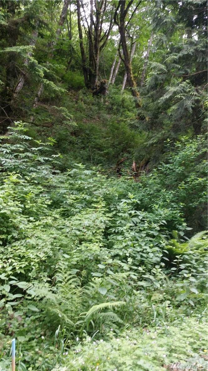 0 68Xx Norma Beach Road - Photo 1
