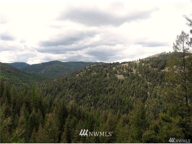 8 Cougar Creek Road - Photo 1