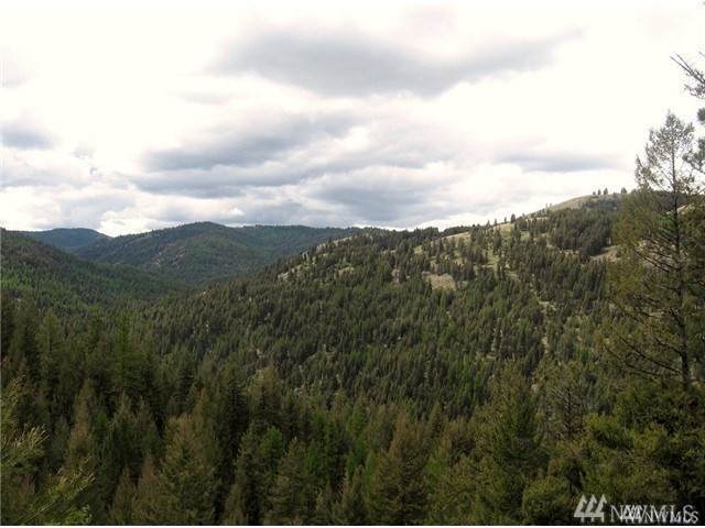 8 Cougar Creek Rd - Photo 1