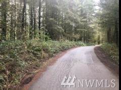0 Sandpiper Dr - Photo 1