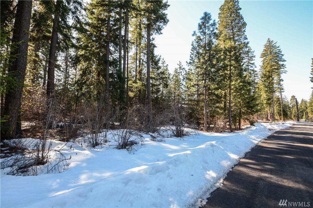 140 Snowberry Lp - Photo 1