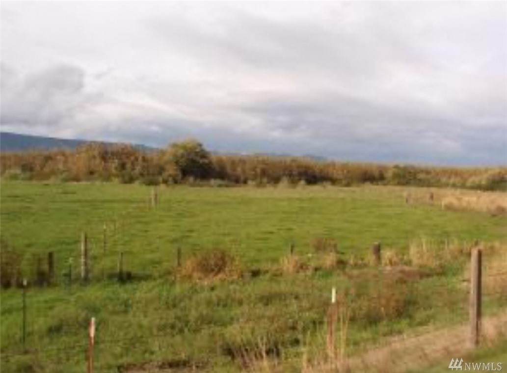 0 Birnie Slough Rd - Photo 1