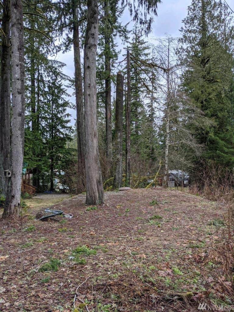 45038 Sikhs Trail - Photo 1
