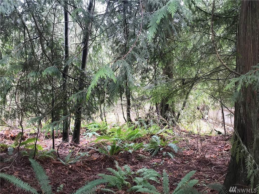 0 Cain Lake Rd - Photo 1