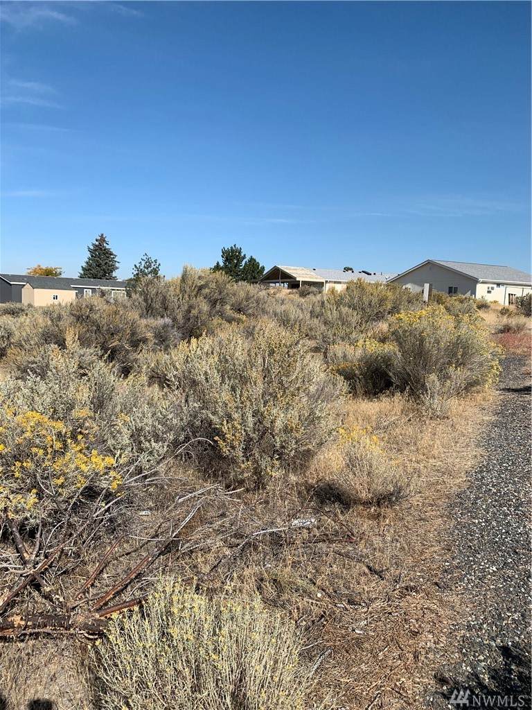 203 Pear Pl Sw - Photo 1