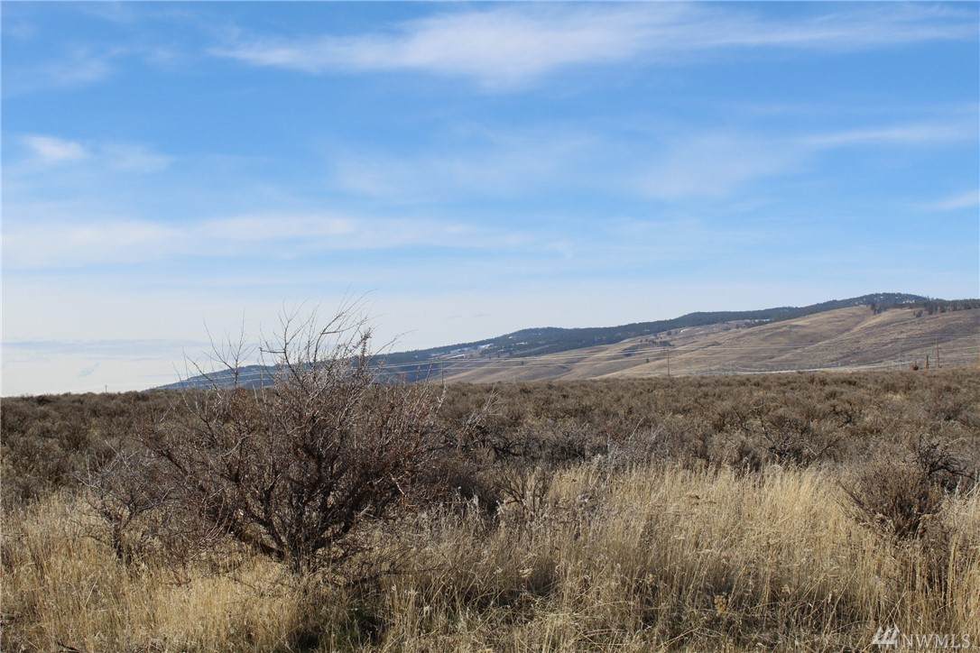 11551-xx Wilson Creek Rd - Photo 1