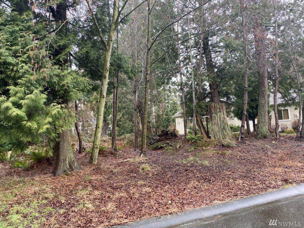 0 Blue Grouse Way Lot #22 - Photo 1 0 Blue Grouse Way Lot #22 - Photo 1