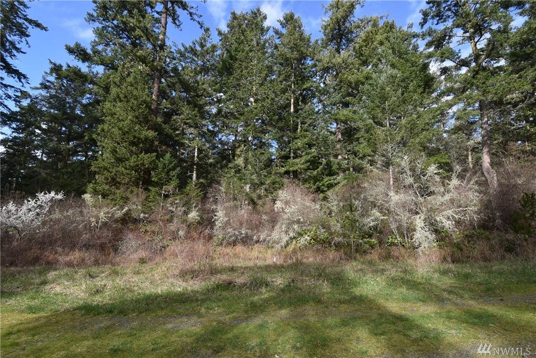 32 Rosario Ct - Photo 1