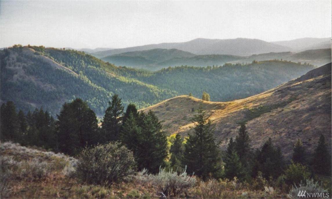 0-TBD Sacred Wy - Photo 1