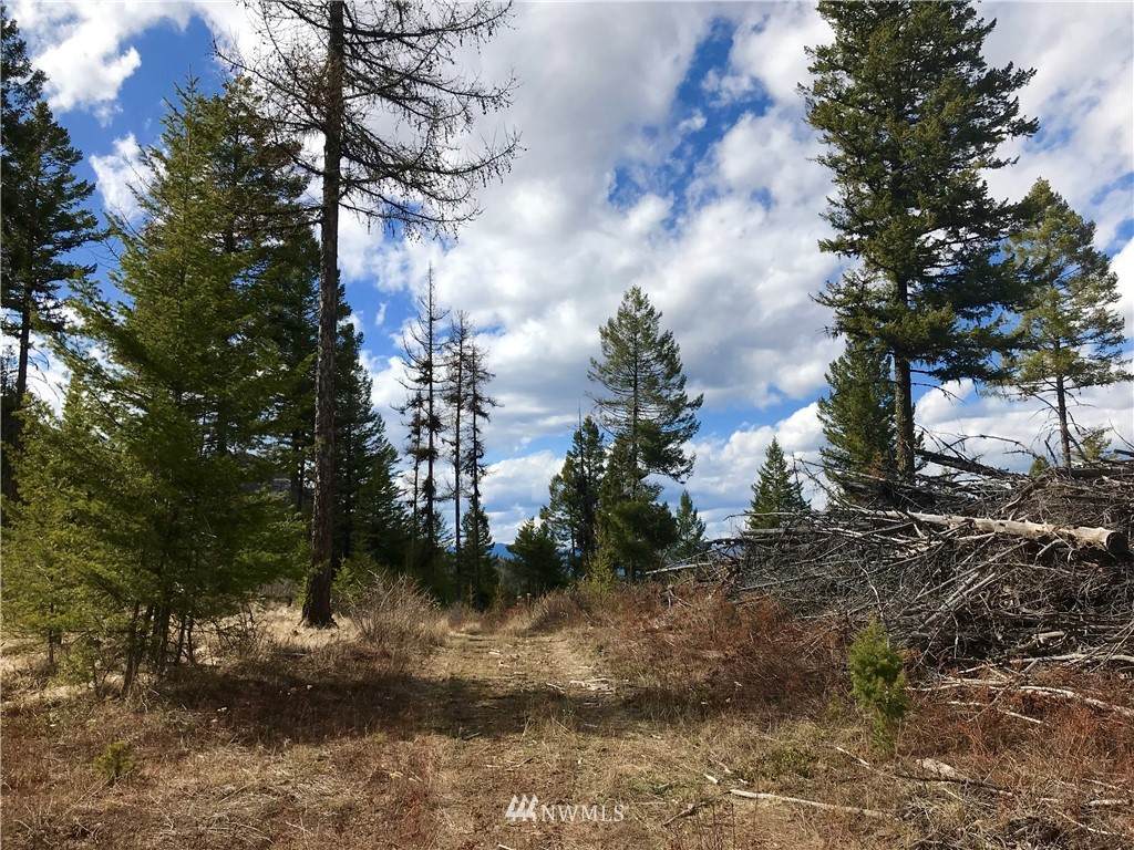 1 Old Kettle Falls Road - Photo 1