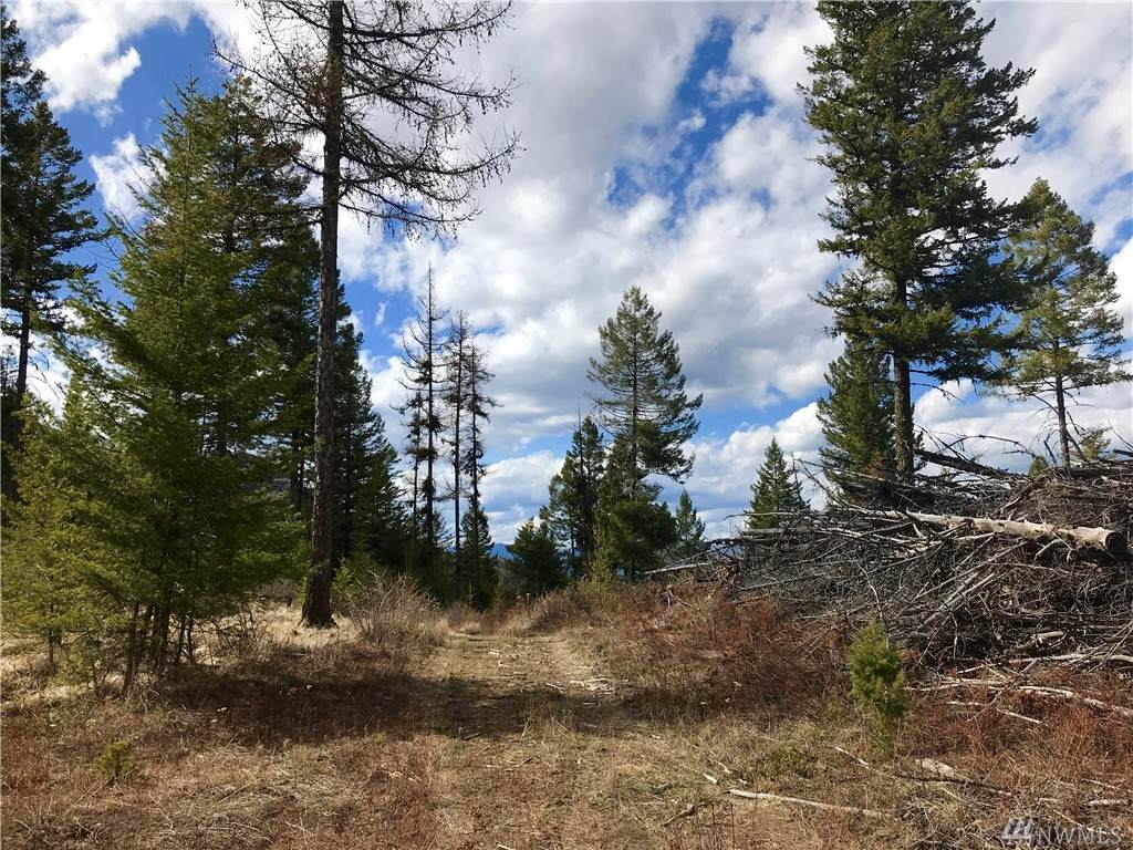 1-XXX Old Kettle Falls Rd - Photo 1