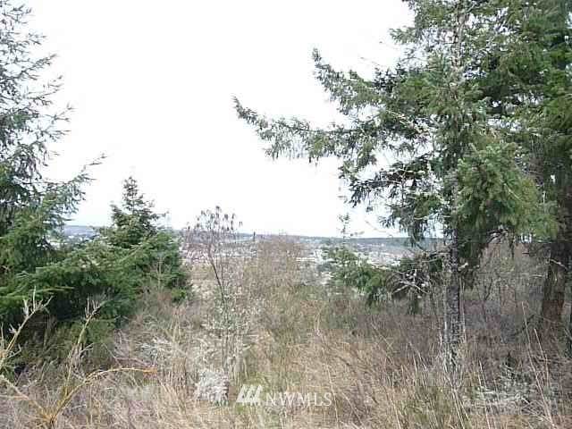 999 Miller Road - Photo 1