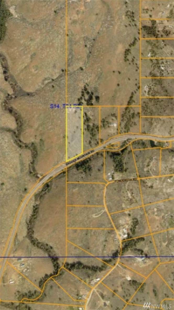 0 Nna Badger Mt Rd - Photo 1
