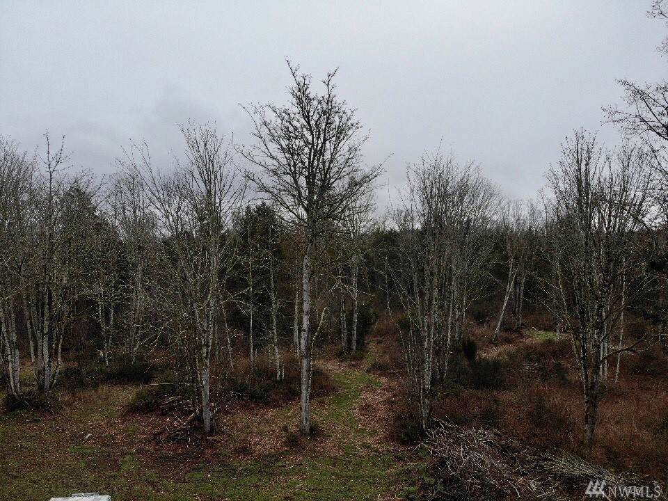 19-Lot off Country Woods Lane - Photo 1