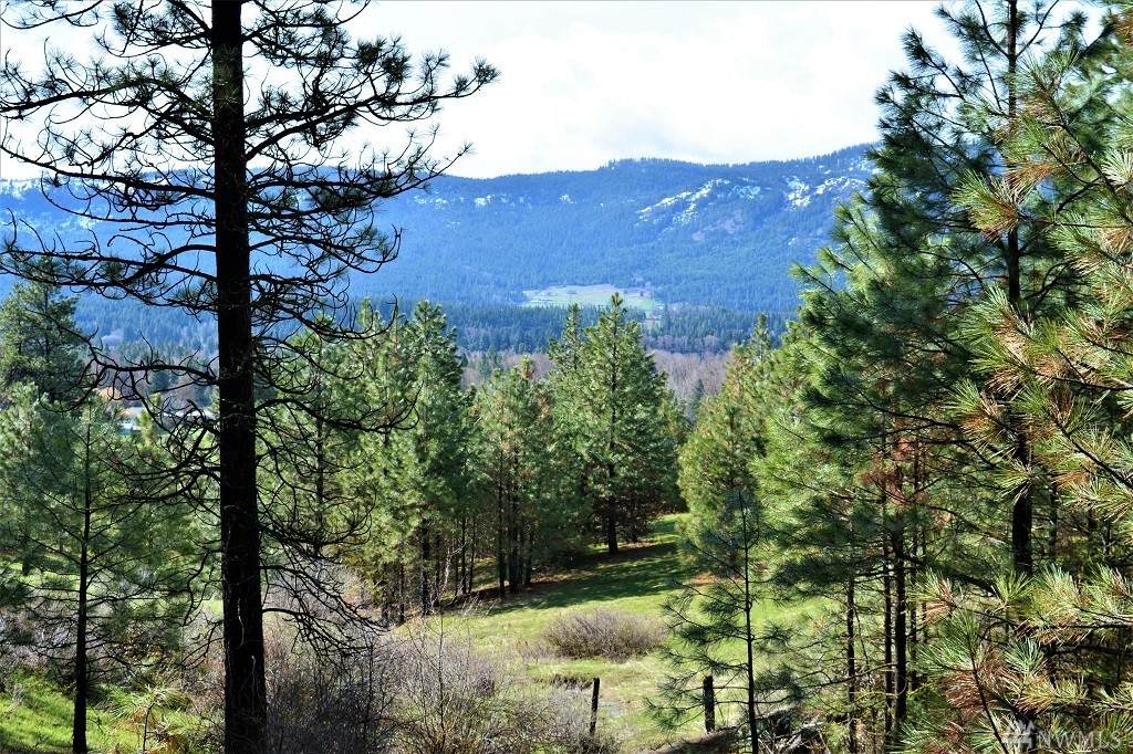 0-Lot 1 Owl Ridge - Photo 1 0-Lot 1 Owl Ridge - Photo 1