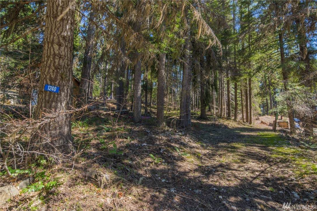 1240 Pineloch Sun Dr - Photo 1