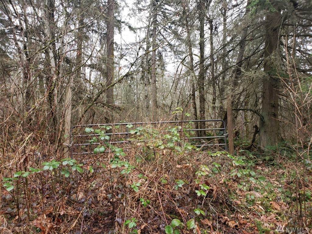 28911 113th Ave - Photo 1