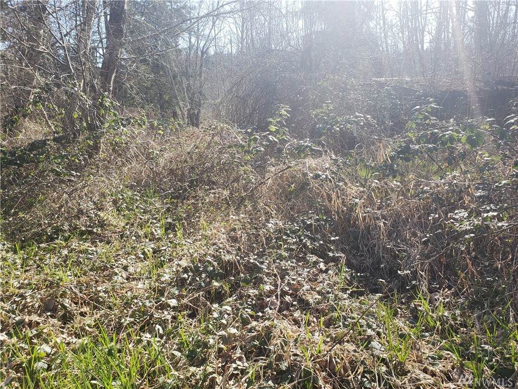 14524 Brenda Dr - Photo 1