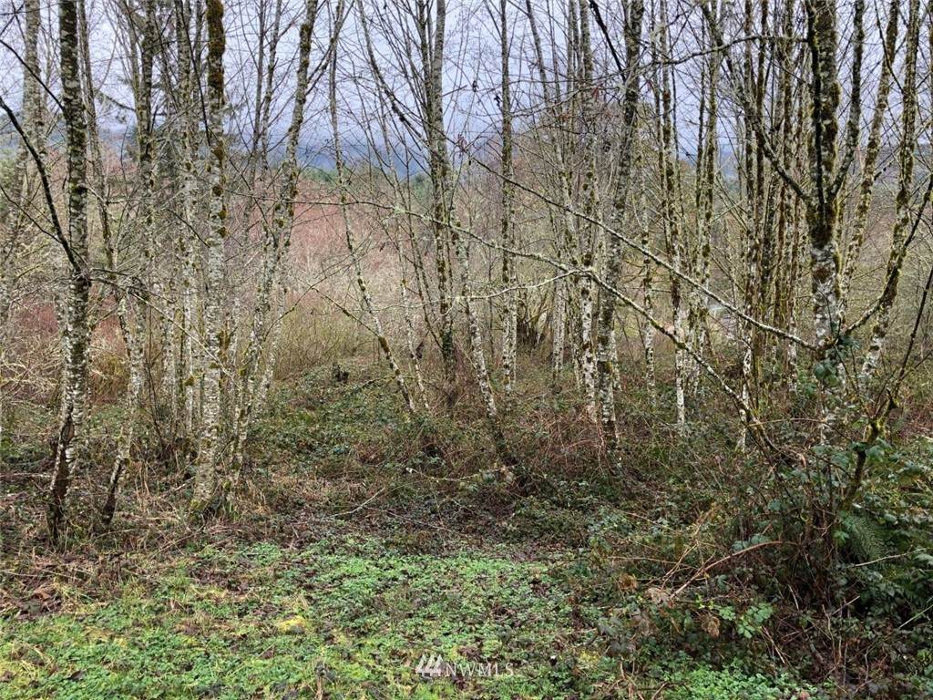 0 Mountain View Road - Photo 1