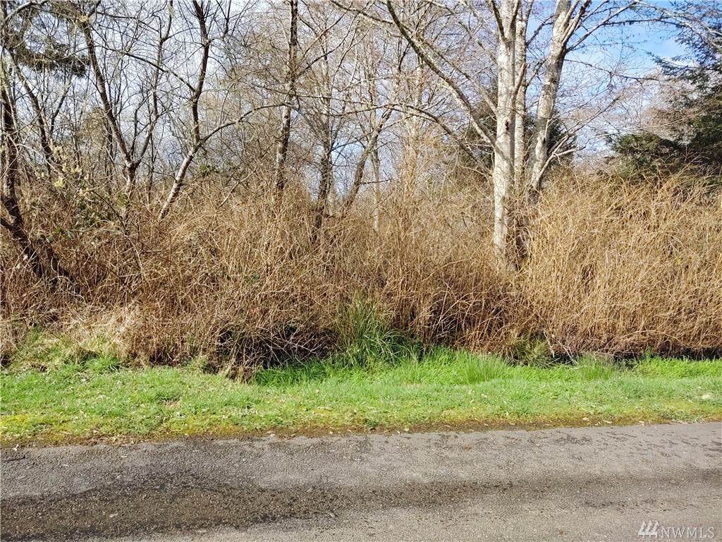 0 1ST Ave - Photo 1