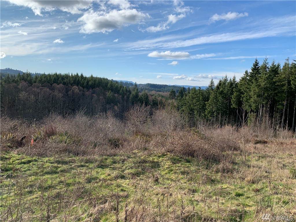 710 Silver Ridge Dr - Photo 1