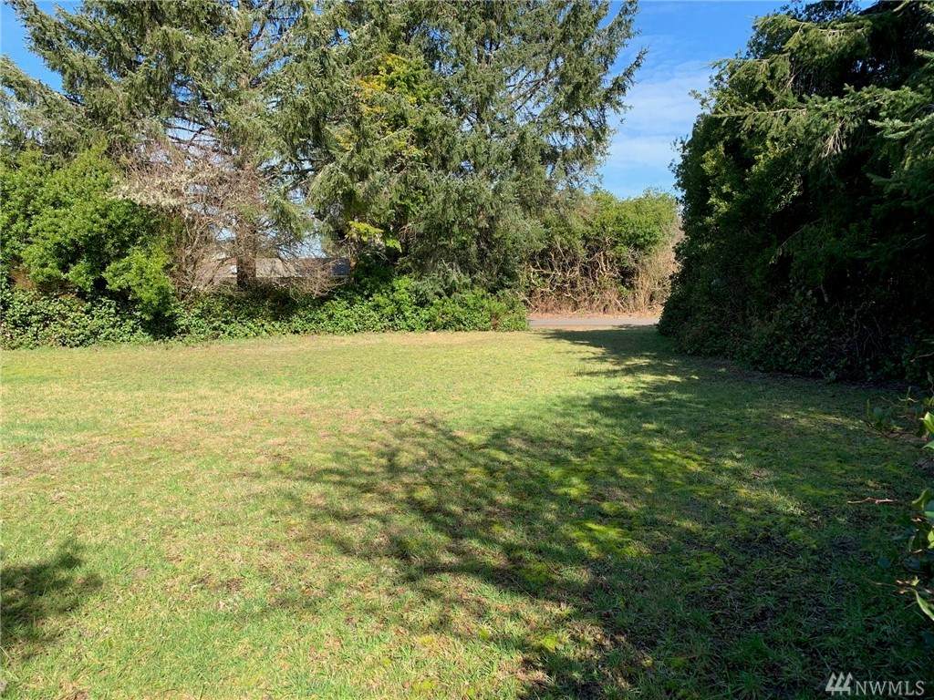 185 Satsop St - Photo 1