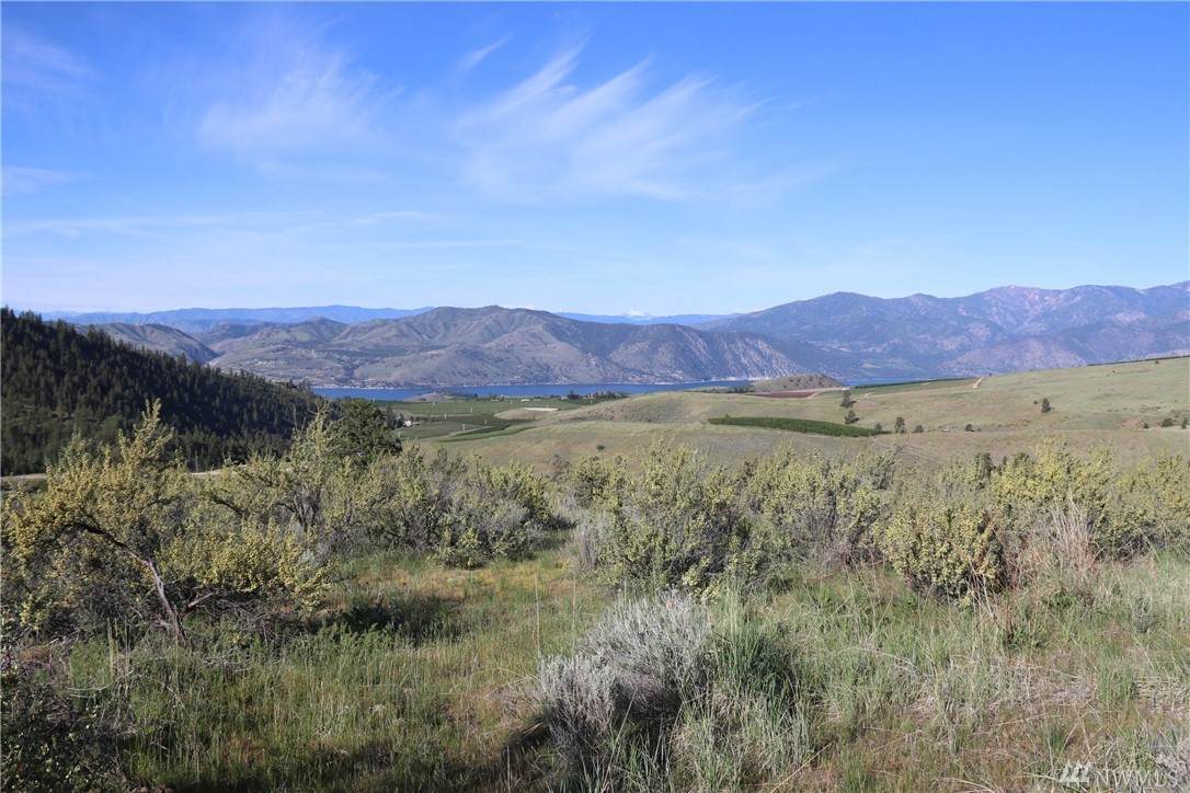 0 Purtteman Gulch Road - Photo 1