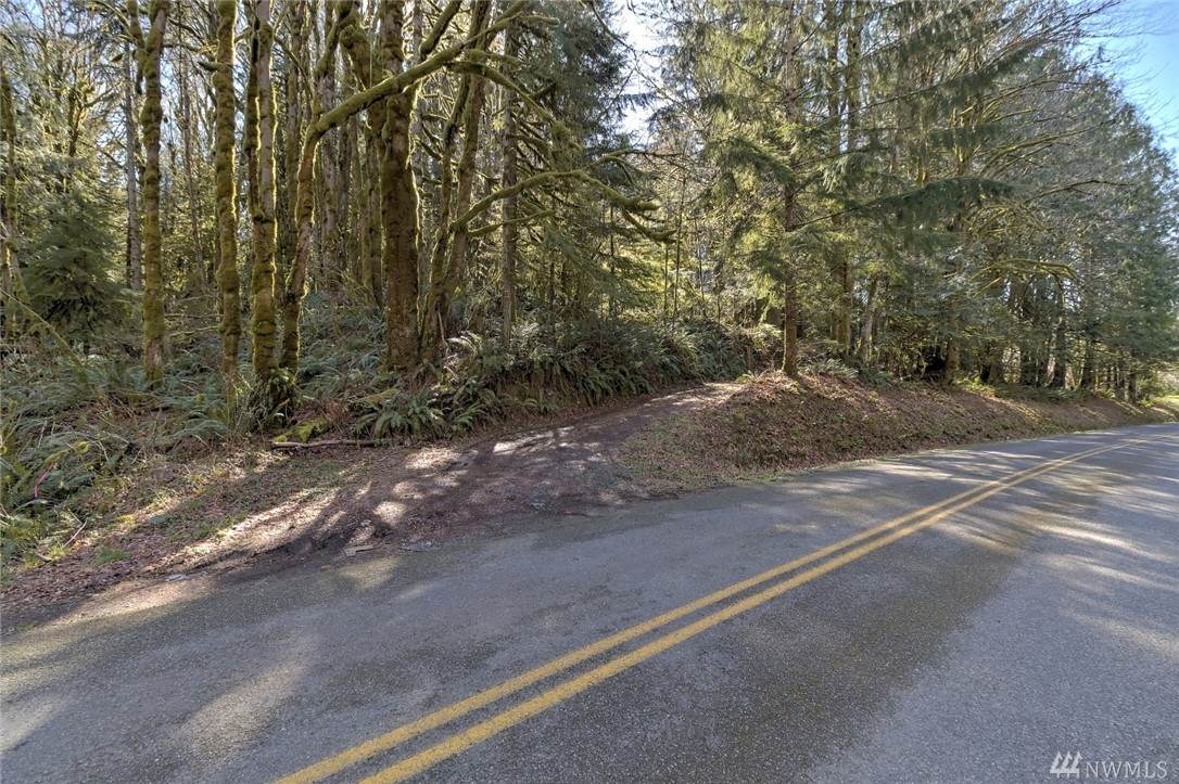 0-xxx Hurley Waldrip Rd - Photo 1