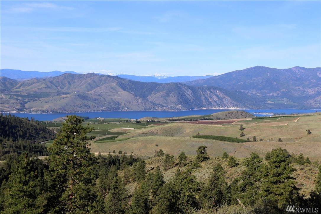 0 Purtteman Gulch Road - Photo 1